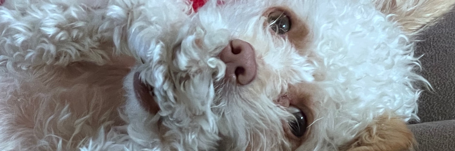 TheLMcBride's profile banner image