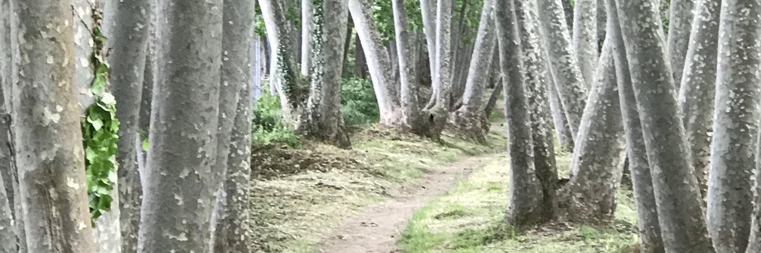 KALÀIXNIKBOSCH🇮🇱💙🔯GOIP 33 ||\*/|| banner