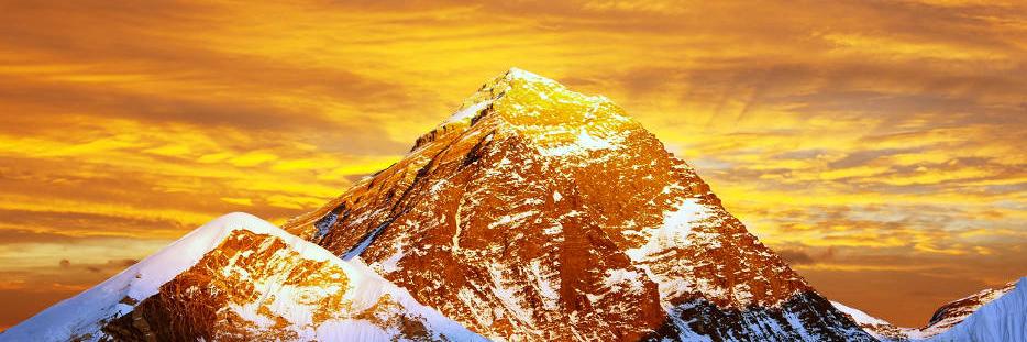 NelsonJPinto's profile banner image