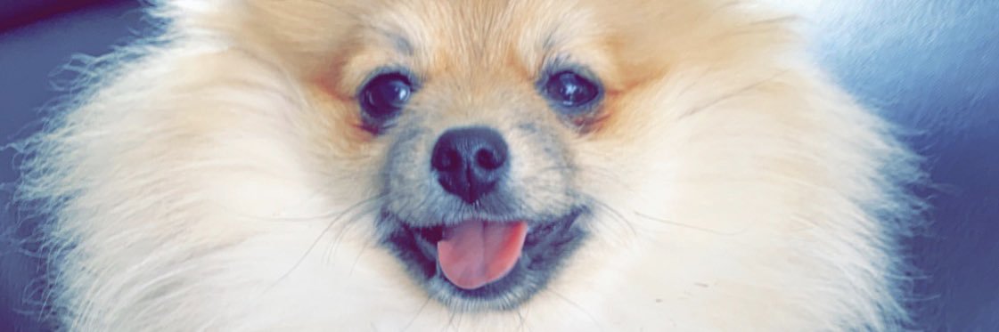 Kathiafmn's profile banner image