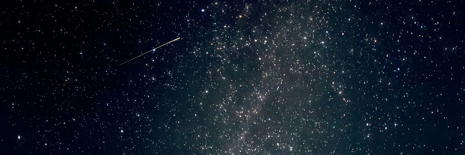 dashkovskaya_y's profile banner image