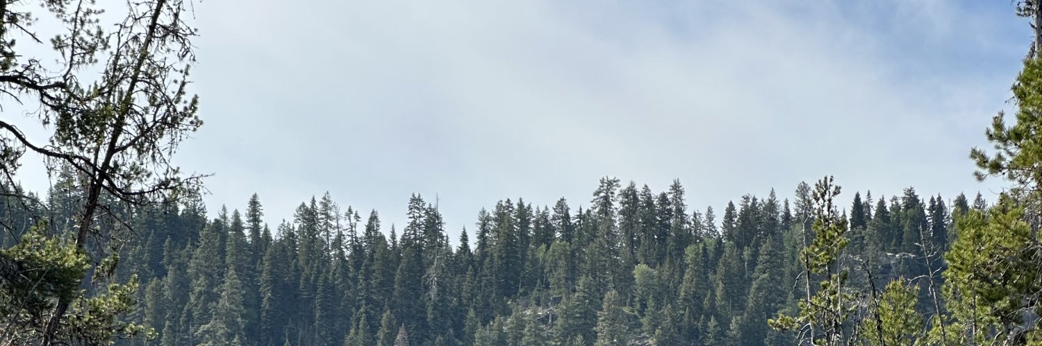Seanpdavis2's profile banner image