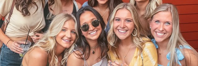roseferolo's profile banner image