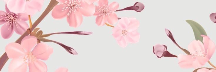 rirooong's profile banner image
