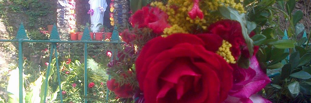 JenRamz🇻🇪🌺 banner