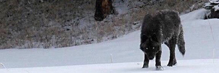 _Cruzz214's profile banner image