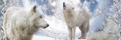 matriarchka's profile banner image