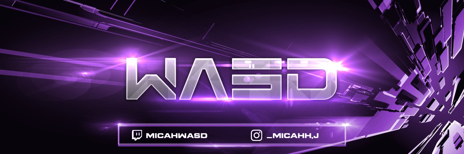 WASD banner
