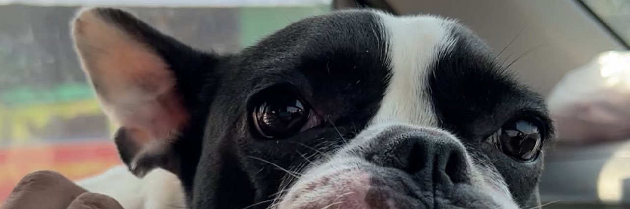 parktong's profile banner image