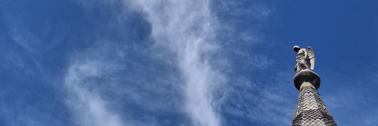 Animachvanin's profile banner image