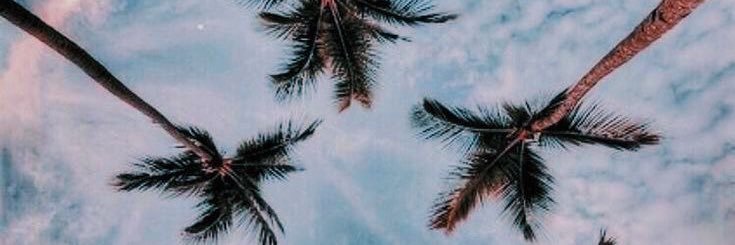 _cody_2's profile banner image
