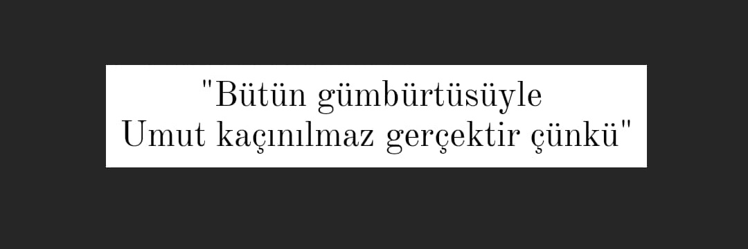 Maude Teyze banner