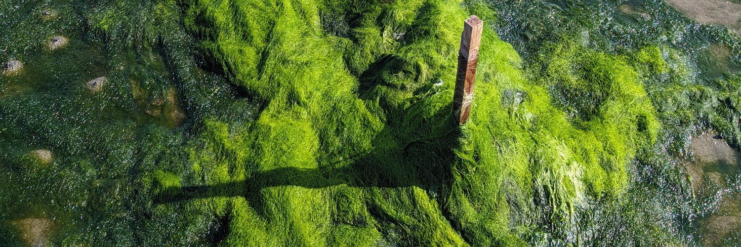 Charlotte Jennings banner