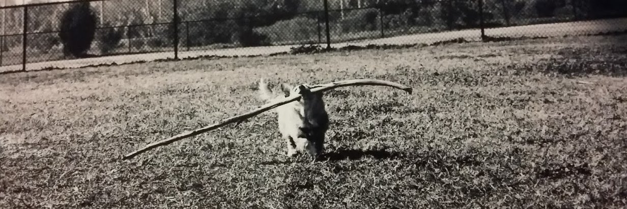 ᏝᎧᏒᎥ ❤🇺🇸❤ banner