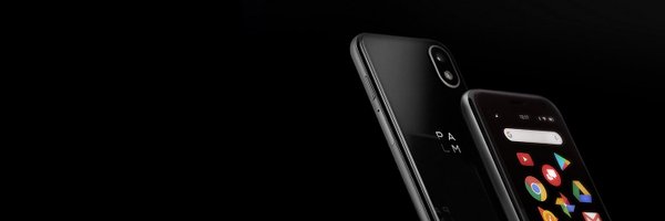 palm Profile Banner