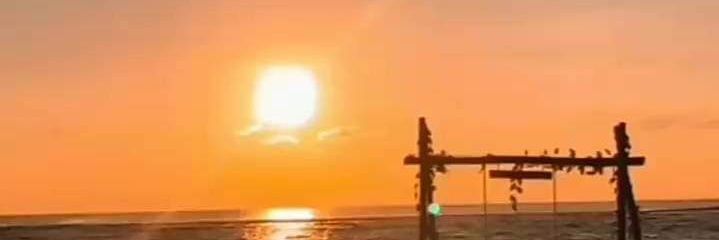 pristaday's profile banner image