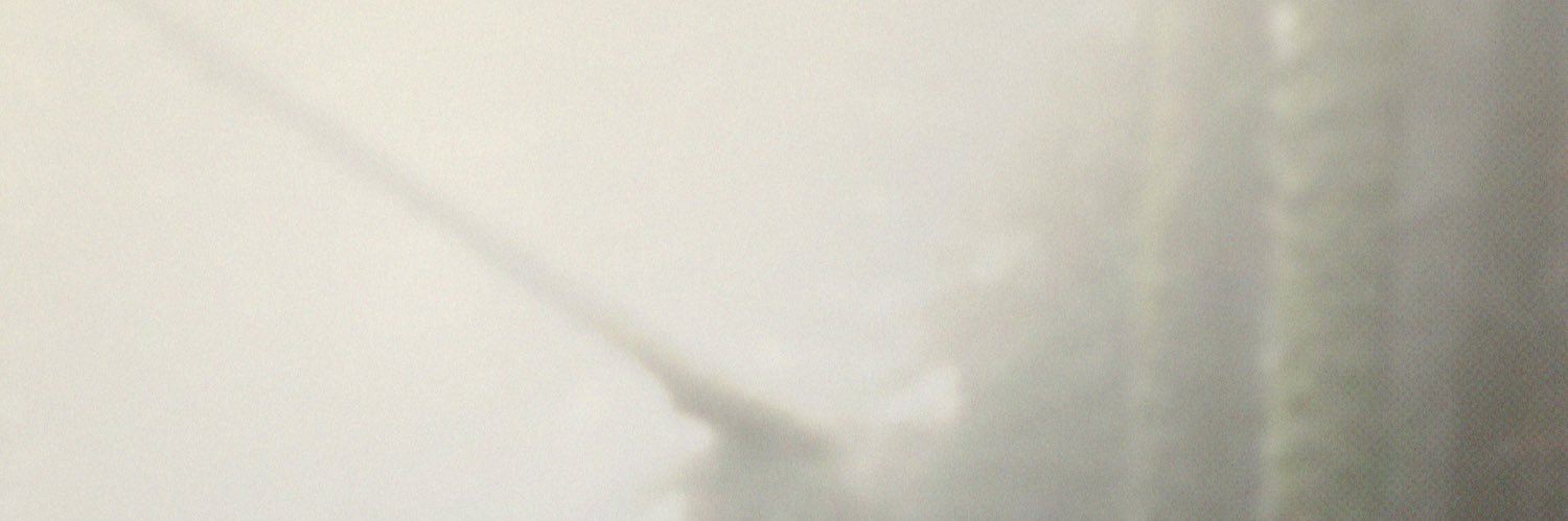 MortemWithin's profile banner image