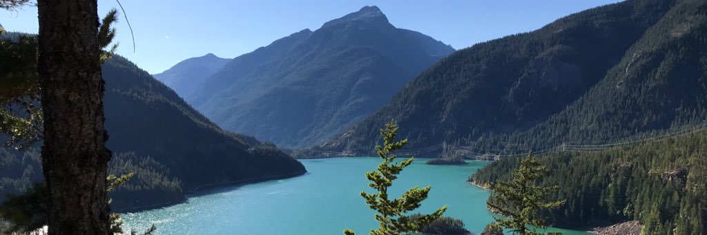 Tanvi Srivastava banner