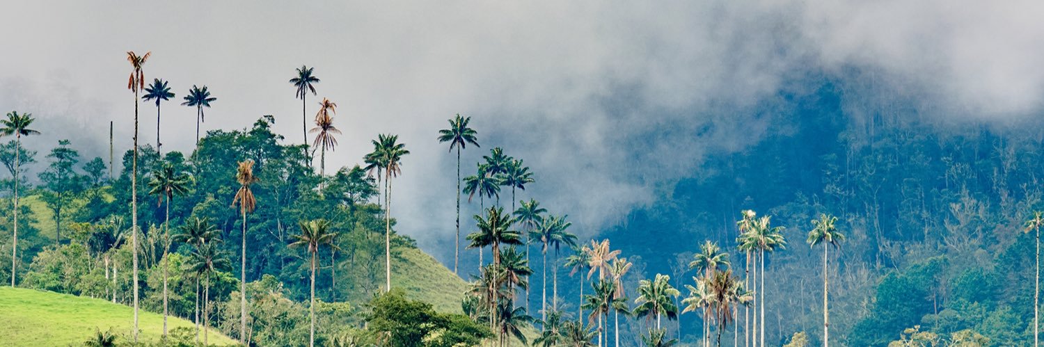 SarahGammer's profile banner image