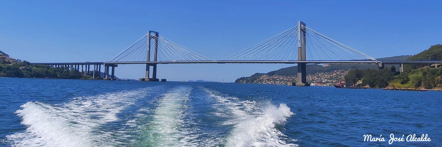 María José Alcalde banner