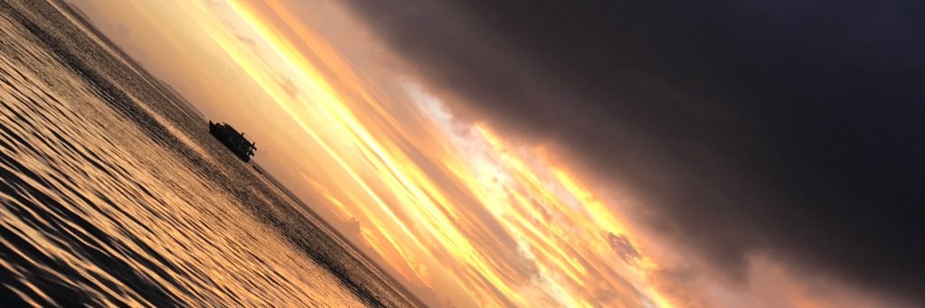 x banner