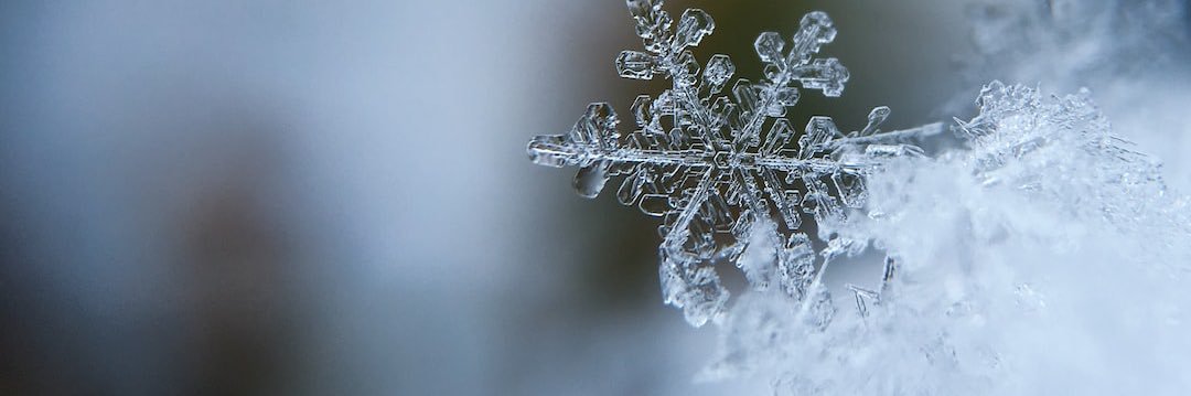PatienceParker's profile banner image