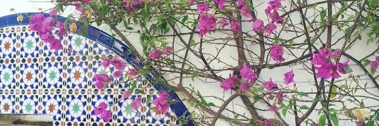 morrrggss's profile banner image