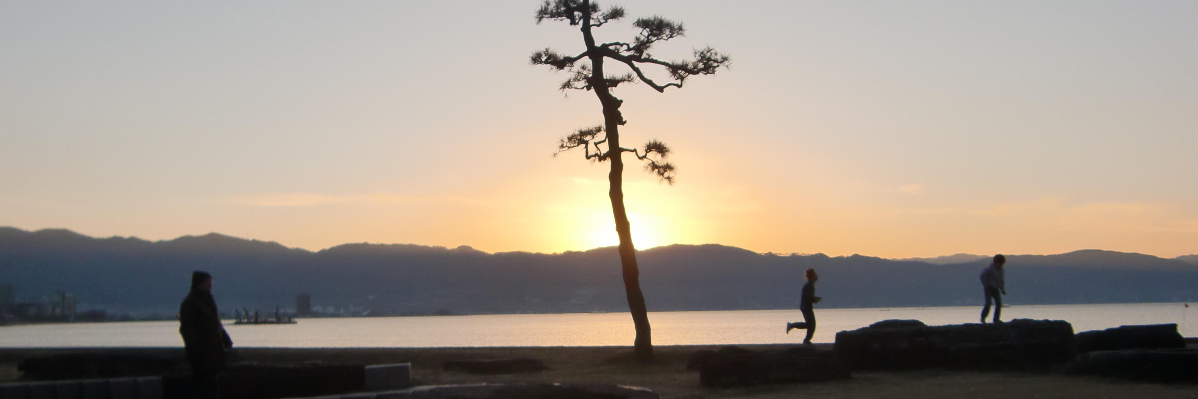 みこちゃ@🦍🦍🦍🦍🦍🦍🦍🦍🦍🦍🦍🦍🦍🦍🦍🦍🦍🦍🦍🦍🦍🦍 banner