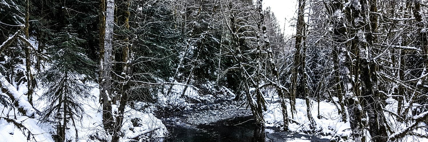 VIPhotograph83's profile banner image