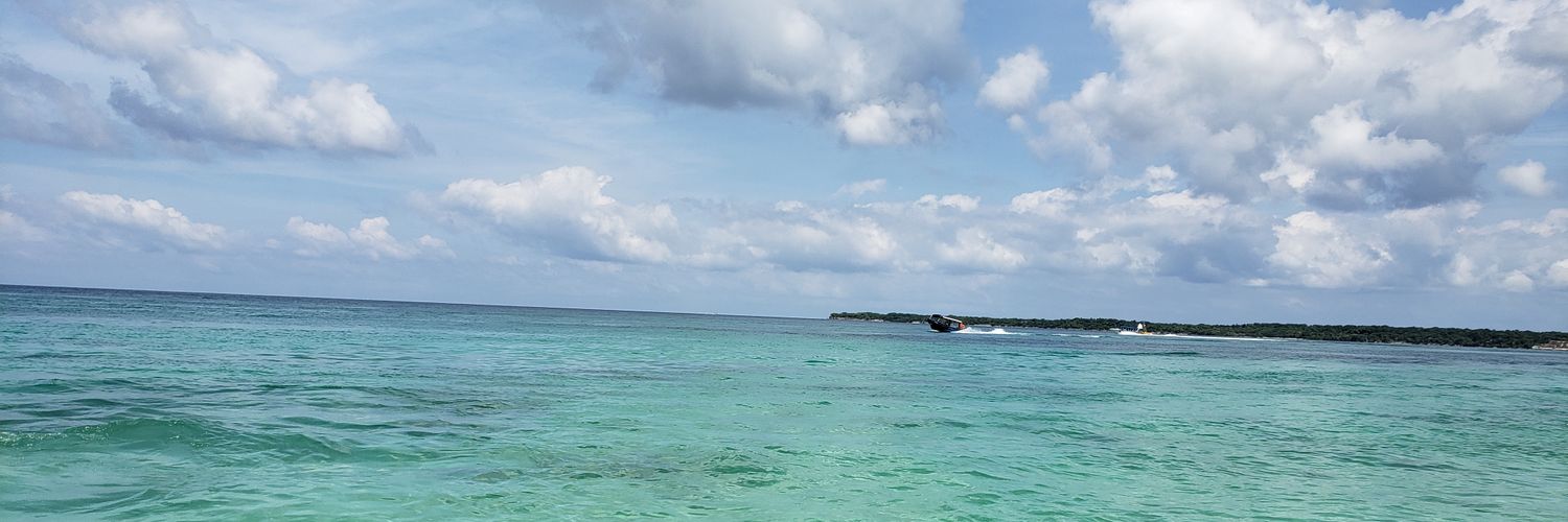ringaeter's profile banner image