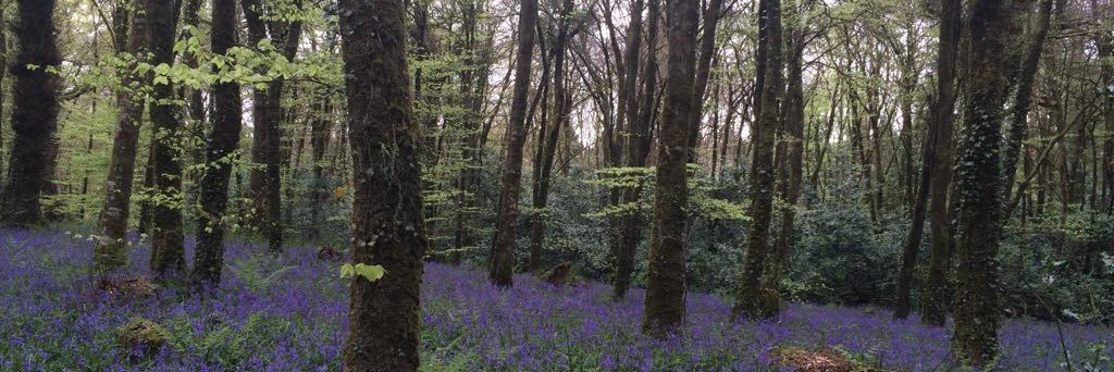 karen_nulty's profile banner image