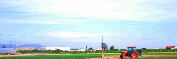 LauPeris Profile Banner