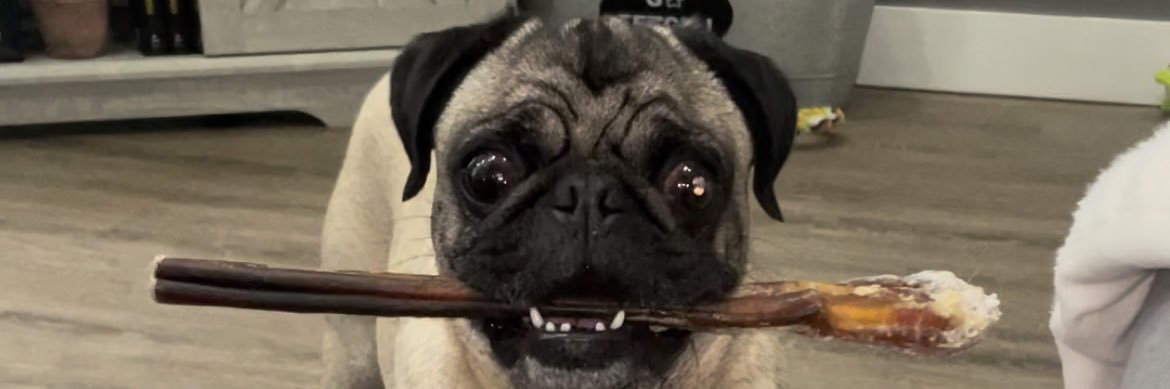 DMednick's profile banner image