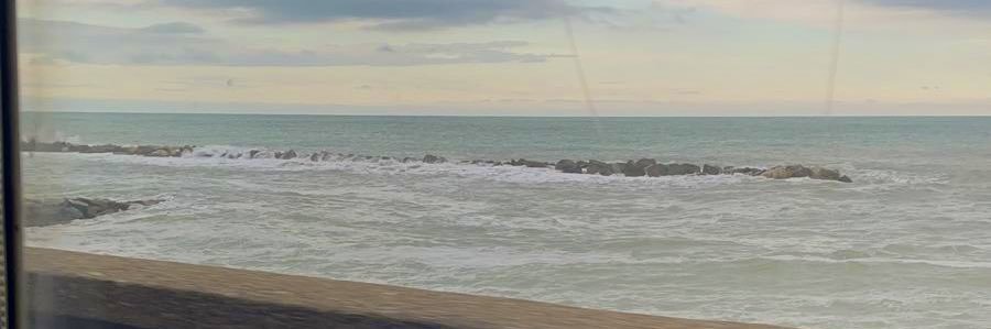 Rosacito98's profile banner image