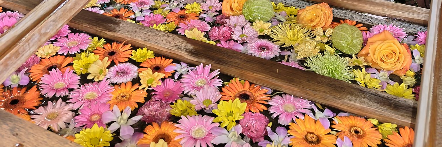 cool_flower333's profile banner image