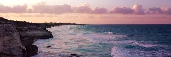 CapliLaura's profile banner image