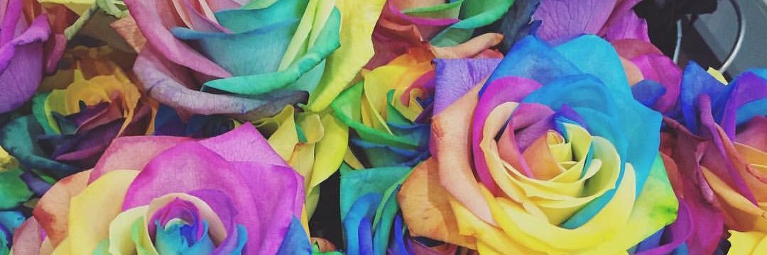 aom_miie's profile banner image