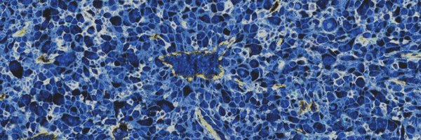 samuelsw Profile Banner