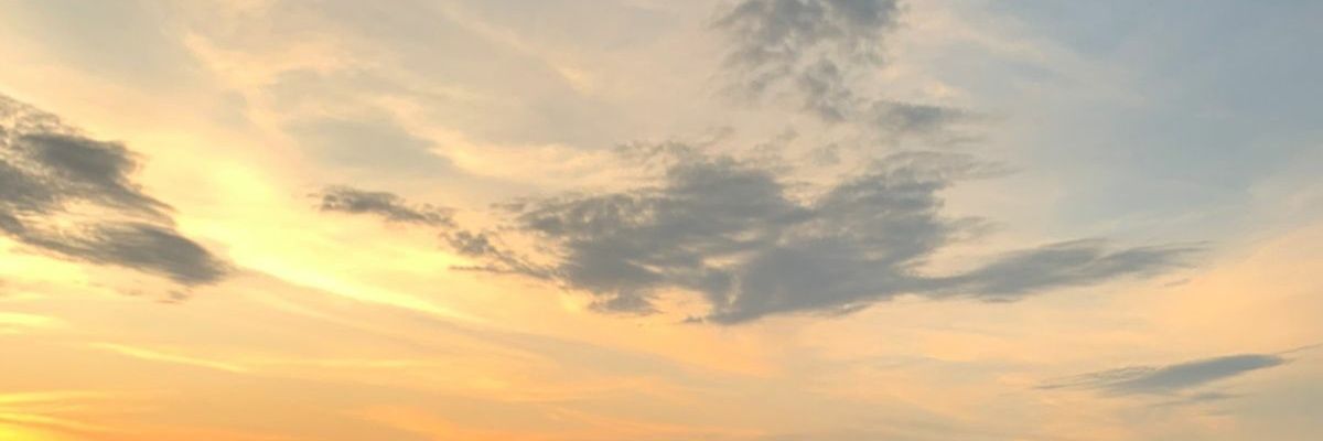 waraweri's profile banner image
