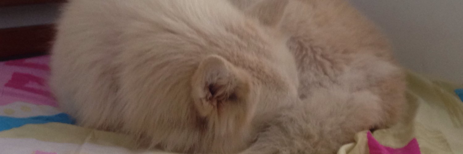 LetitiaDominic's profile banner image