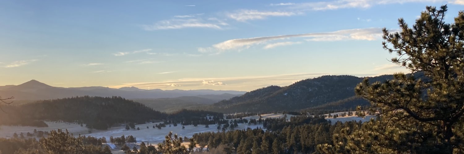 Travisray Salyers banner