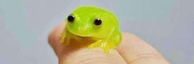 eh... (COMMS OPEN) banner