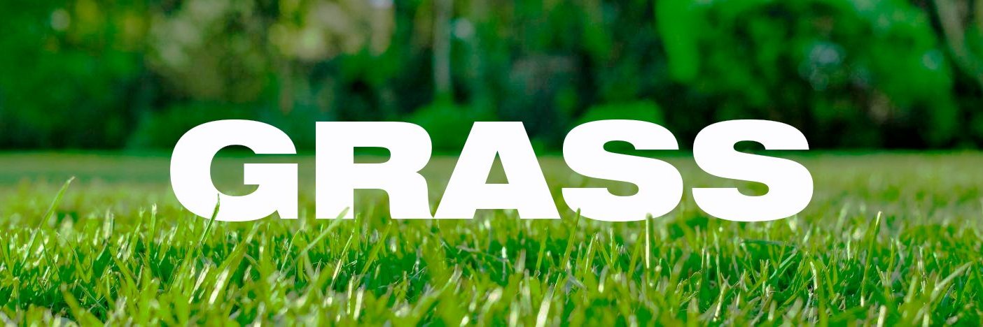 misery. banner