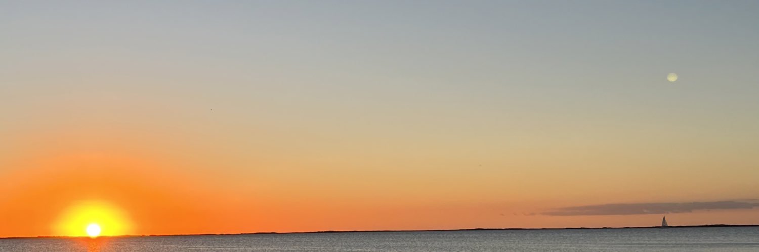 brandon_silveri's profile banner image
