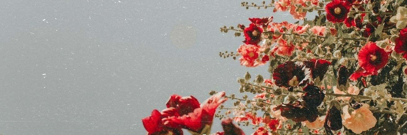 GuessItsNicole's profile banner image