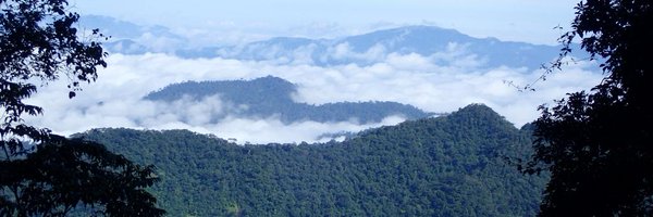CEmogor Profile Banner