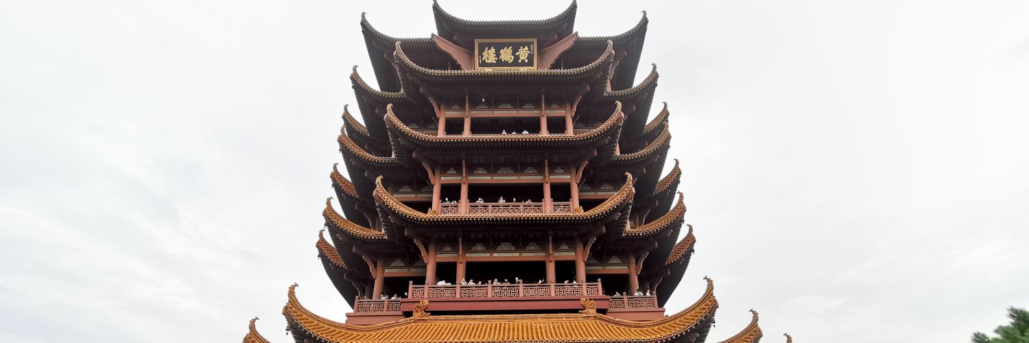 可能是只猴子吧 banner