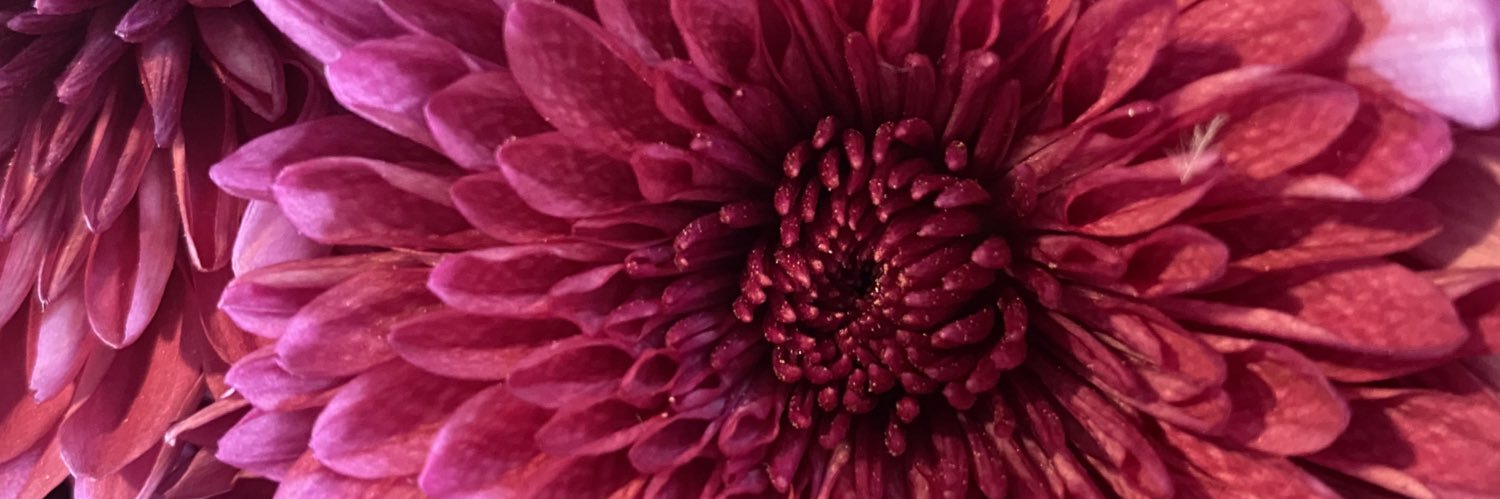 amyee1987's profile banner image