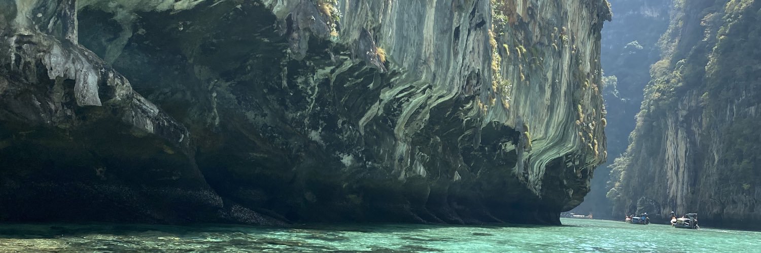 🐘 Nico 魂 banner