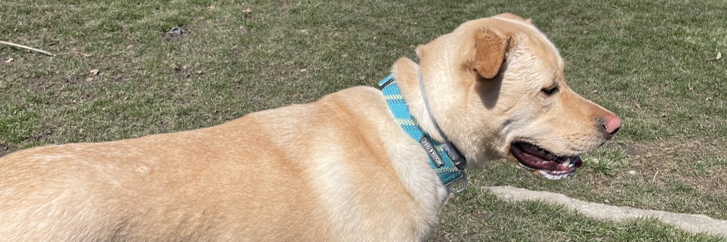 LabDadEd's profile banner image